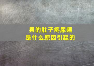 男的肚子疼尿频是什么原因引起的