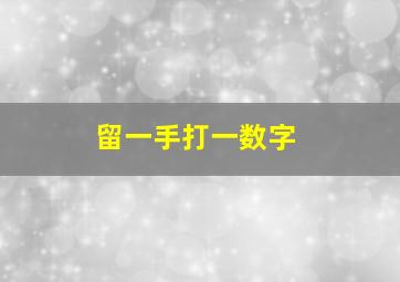 留一手打一数字