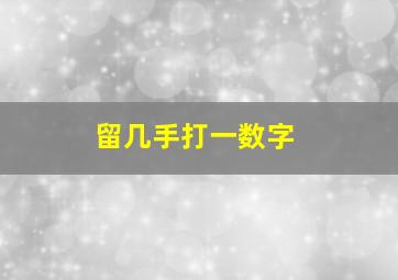 留几手打一数字