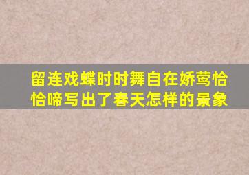 留连戏蝶时时舞自在娇莺恰恰啼写出了春天怎样的景象