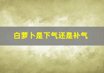 白萝卜是下气还是补气