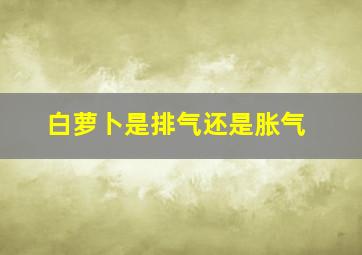 白萝卜是排气还是胀气