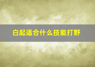 白起适合什么技能打野