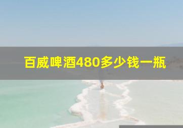 百威啤酒480多少钱一瓶