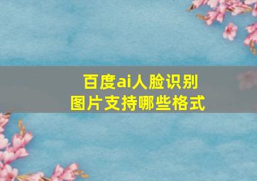 百度ai人脸识别图片支持哪些格式