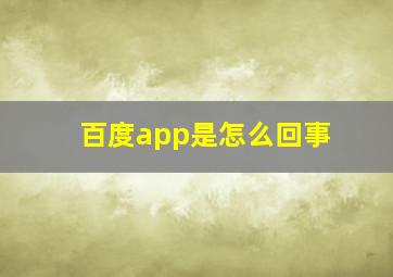 百度app是怎么回事