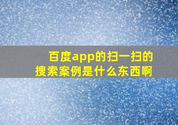 百度app的扫一扫的搜索案例是什么东西啊