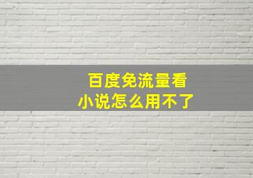 百度免流量看小说怎么用不了