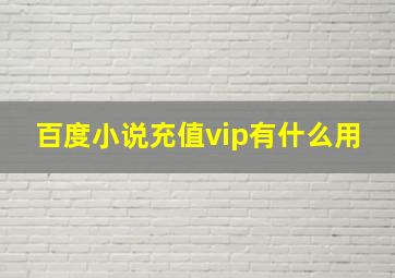 百度小说充值vip有什么用