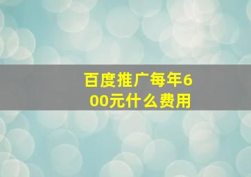 百度推广每年600元什么费用