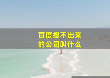 百度搜不出来的公司叫什么