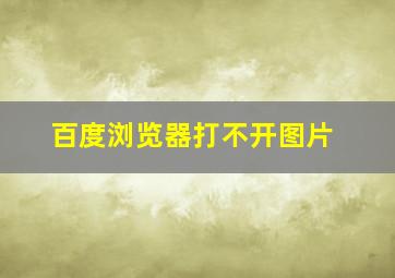 百度浏览器打不开图片