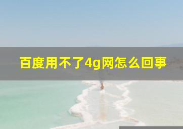 百度用不了4g网怎么回事