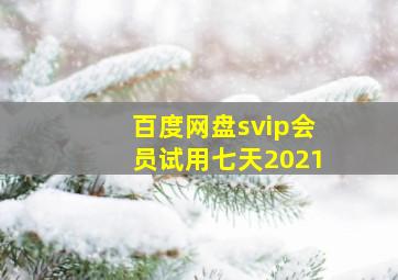 百度网盘svip会员试用七天2021