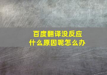 百度翻译没反应什么原因呢怎么办