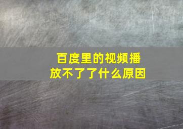 百度里的视频播放不了了什么原因