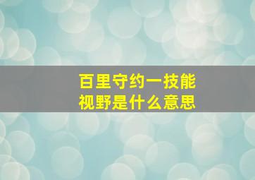 百里守约一技能视野是什么意思