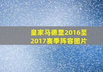 皇家马德里2016至2017赛季阵容图片