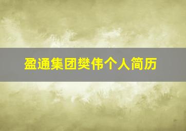 盈通集团樊伟个人简历