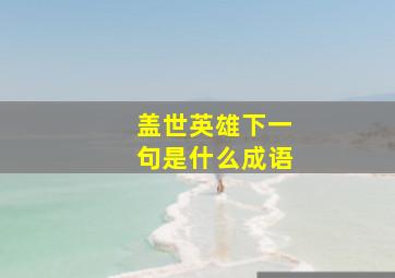 盖世英雄下一句是什么成语