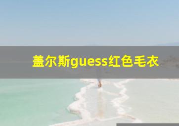 盖尔斯guess红色毛衣