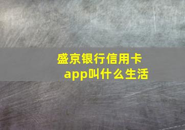 盛京银行信用卡app叫什么生活