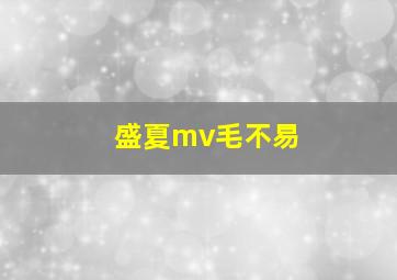 盛夏mv毛不易