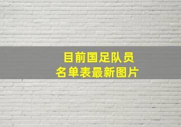 目前国足队员名单表最新图片