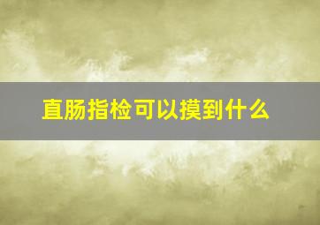 直肠指检可以摸到什么