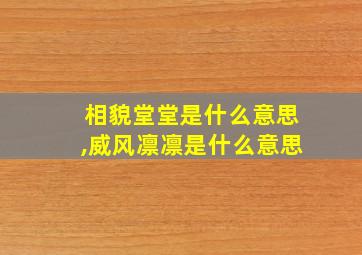 相貌堂堂是什么意思,威风凛凛是什么意思