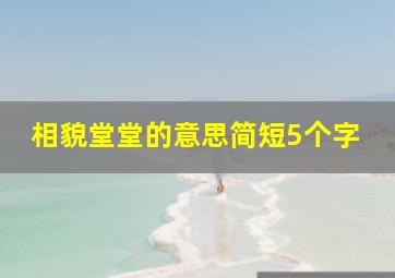 相貌堂堂的意思简短5个字