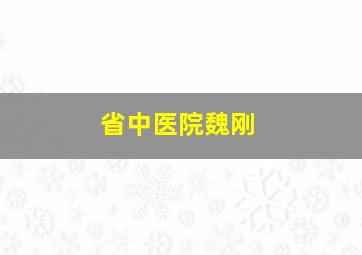 省中医院魏刚