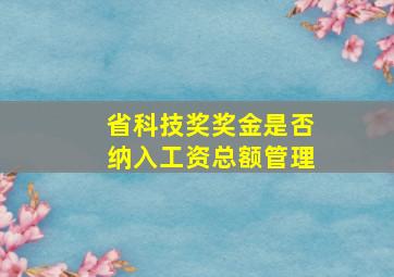 省科技奖奖金是否纳入工资总额管理