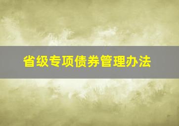 省级专项债券管理办法