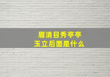 眉清目秀亭亭玉立后面是什么