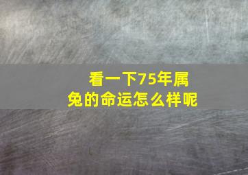 看一下75年属兔的命运怎么样呢