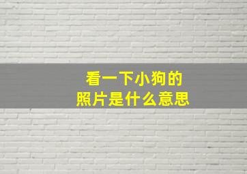 看一下小狗的照片是什么意思