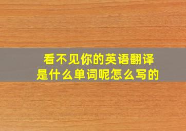 看不见你的英语翻译是什么单词呢怎么写的