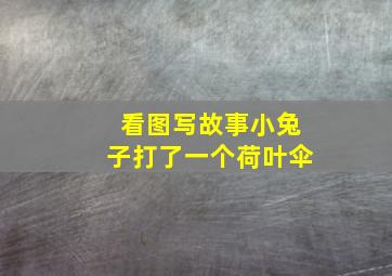 看图写故事小兔子打了一个荷叶伞