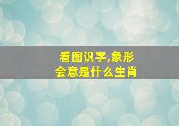 看图识字,象形会意是什么生肖