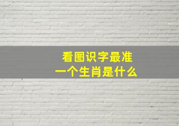 看图识字最准一个生肖是什么