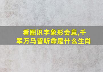 看图识字象形会意,千军万马皆听命是什么生肖