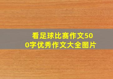 看足球比赛作文500字优秀作文大全图片