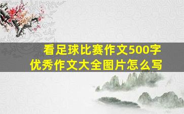 看足球比赛作文500字优秀作文大全图片怎么写