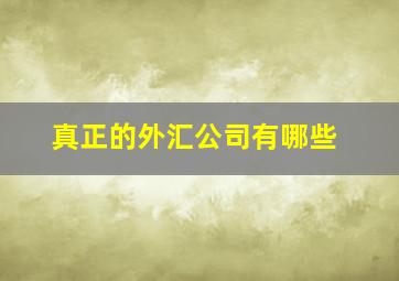 真正的外汇公司有哪些