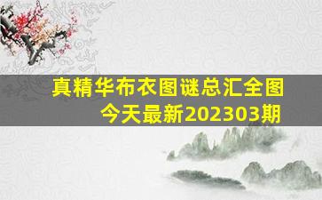 真精华布衣图谜总汇全图今天最新202303期