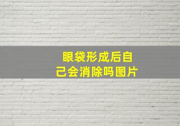 眼袋形成后自己会消除吗图片