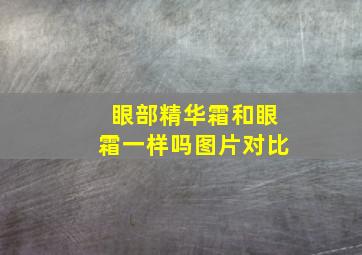 眼部精华霜和眼霜一样吗图片对比