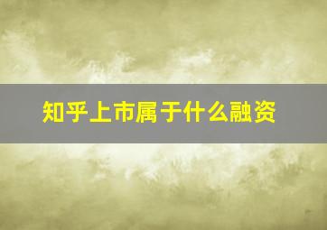 知乎上市属于什么融资