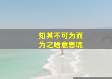 知其不可为而为之啥意思呢